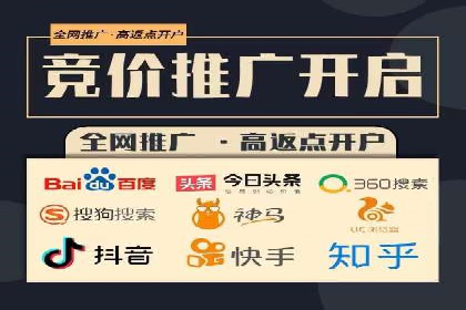 百度推广运营实战：成功案例解析